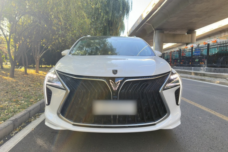 东风风行 风行游艇 2024款 1.5T DCT 观海版车身外观6009