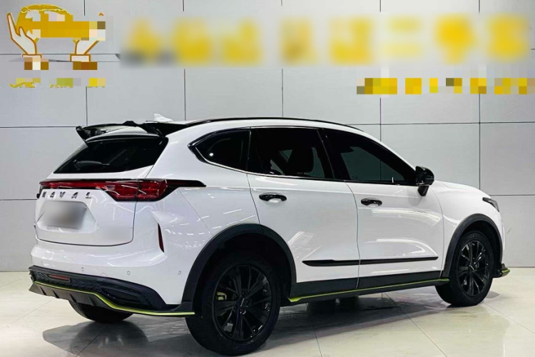 哈弗赤兔 2021款 激擎版 1.5T 铂金兔车身外观6007