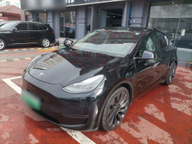 特斯拉 Model Y 2022款 Performance高性能全轮驱动版