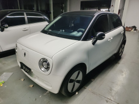 欧拉黑猫 2021款 301km 基础型