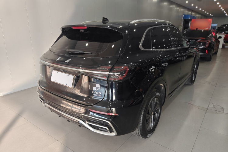 红旗HS5 2023款 2.0T 旗享Pro版车身外观6005