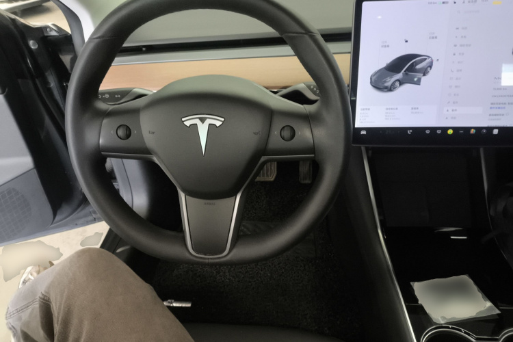 特斯拉 Model 3 2019款 标准续航后驱升级版局部细节13