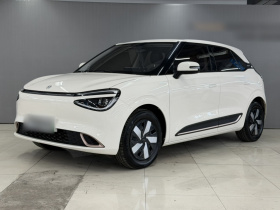 东风纳米 纳米01 2024款 430 Air