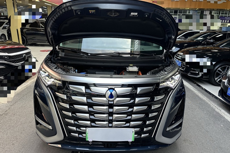 腾势D9 2022款 DM-i 970 四驱旗舰型局部细节24