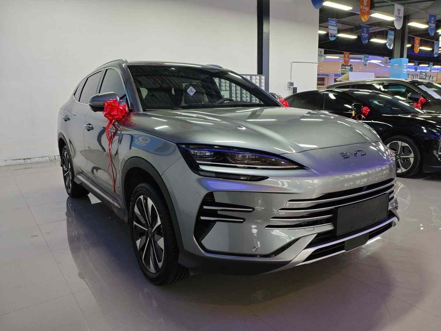 比亚迪 宋PLUS新能源 2025款 DM-i 112KM 尊贵型(5)