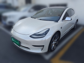 特斯拉 Model 3(进口) 2019款 Performance高性能全轮驱动版