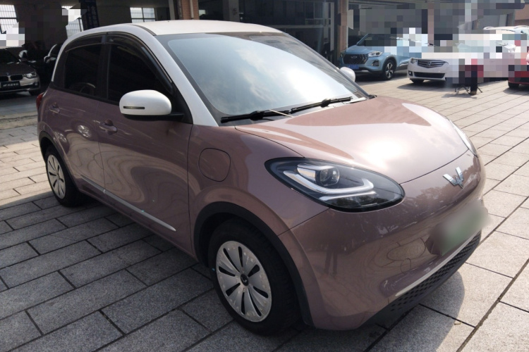 五菱汽车 五菱缤果 2023款 203km 轻享款车身外观3