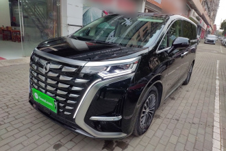 腾势D9 2024款 DM-i 980 四驱尊贵型