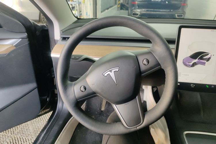 特斯拉 Model 3 2021款 标准续航后驱升级版 3D6局部细节13