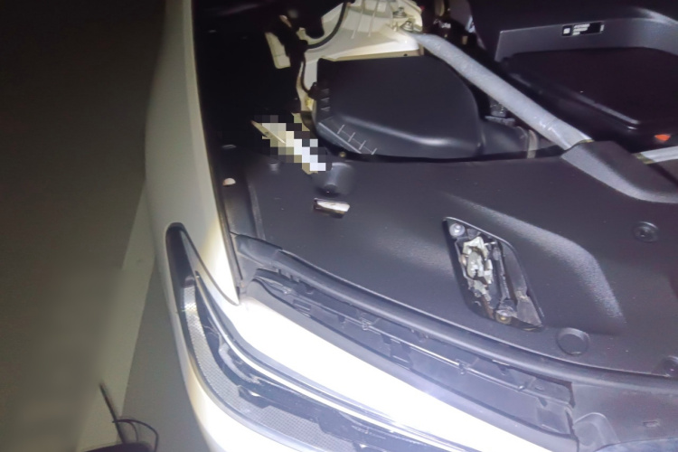 宝马5系 2020款 530Li 领先型 豪华套装局部细节9006