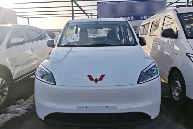 五菱汽车 五菱宏光新能源 2024款 纯电版 300KM 标准型车身外观6001