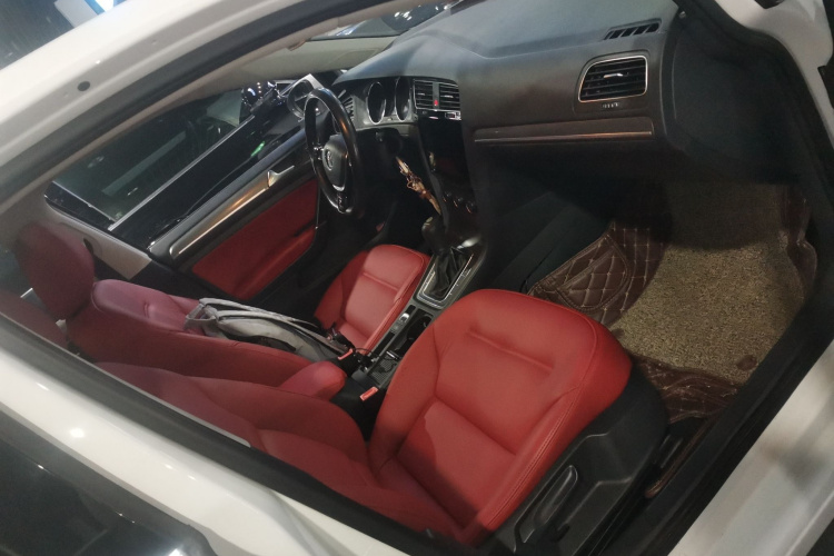 大众 高尔夫 2015款 1.6L 自动舒适型局部细节41