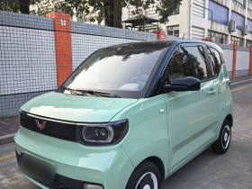 五菱汽车 宏光MINIEV 2021款 马卡龙臻享款 磷酸铁锂