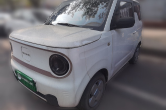 吉利银河 2023款 熊猫mini 200km 耐力熊