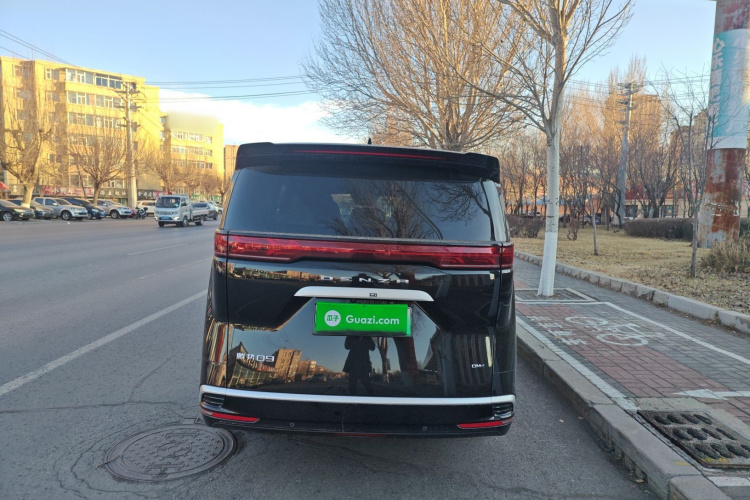 腾势D9 2024款 DM-i 1050 尊享型车身外观6004