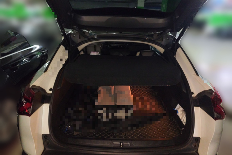 雪铁龙 凡尔赛C5 X 2022款 1.6T 享不凡 虎年开门红版中控内饰23