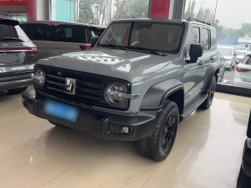 坦克300 2023款 2.0T 20万辆纪念版