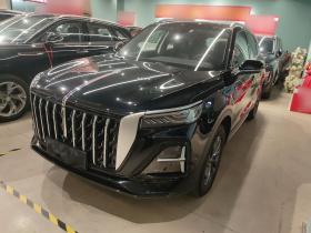 红旗HS5 2025款 2.0T 两驱旗悦Pro版