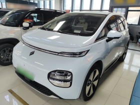 宝骏云朵 2023款 460 Pro