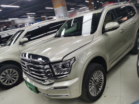 坦克500新能源 2026款 Hi4-T 标准版