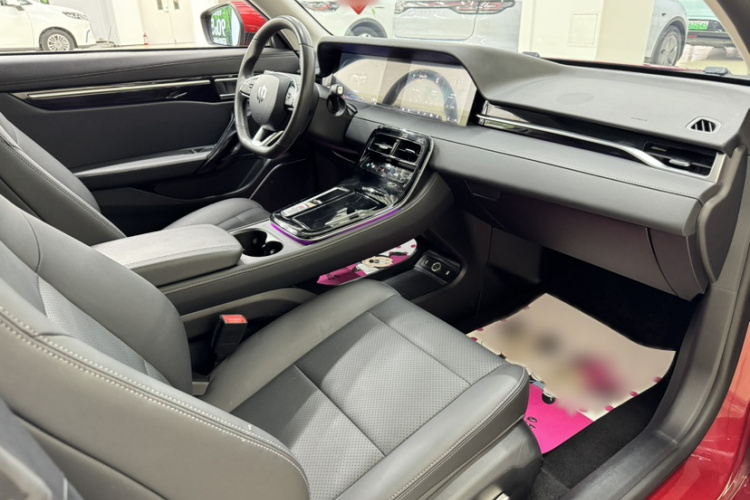 零跑汽车 零跑S01 2020款 460 Pro中控内饰7002