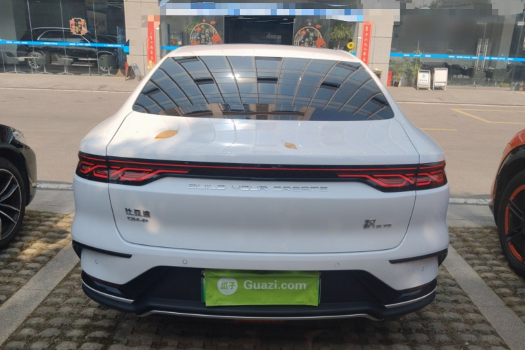 比亚迪 汉 2022款 DM-p 202KM 四驱旗舰型车身外观6004