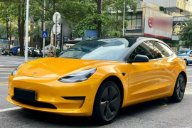 特斯拉 Model 3 2019款 标准续航后驱升级版