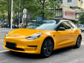 特斯拉 Model 3 2019款 标准续航后驱升级版
