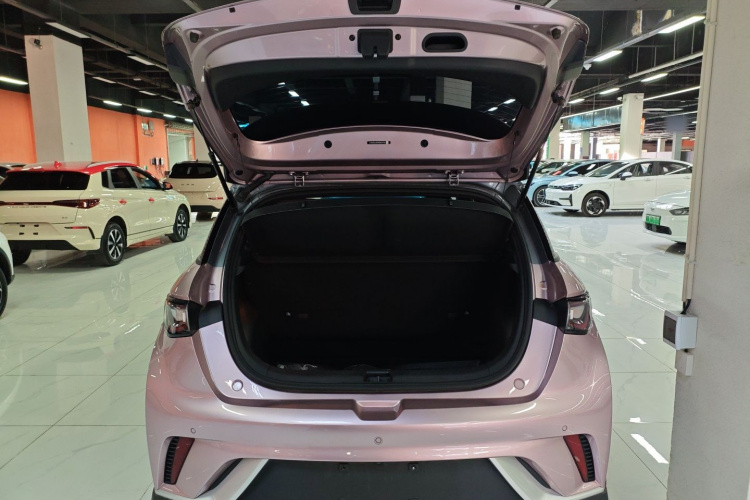 比亚迪 海豚 2021款 401km 骑士版局部细节23