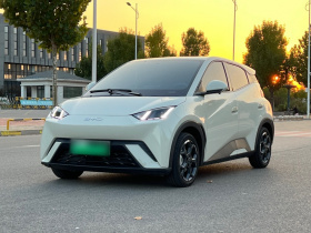 比亚迪 海鸥 2025款 305km 自由版