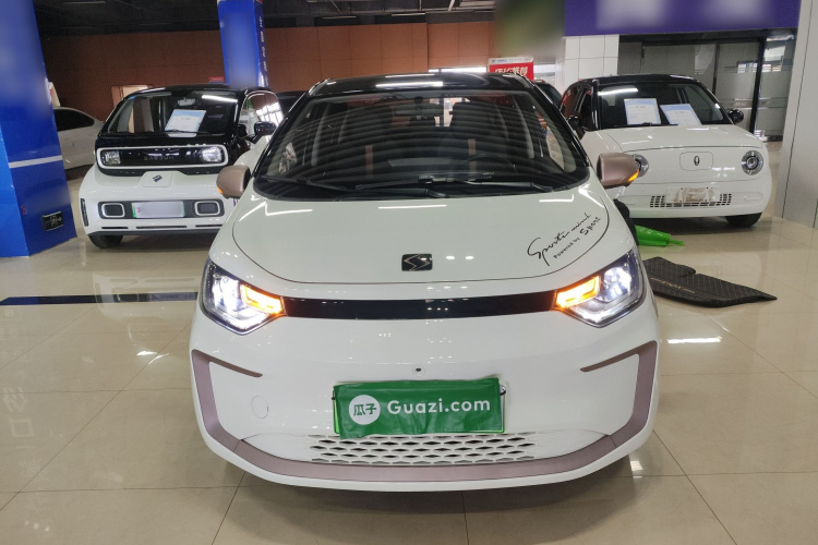 思皓 2022款 花仙子款 向日葵车身外观2