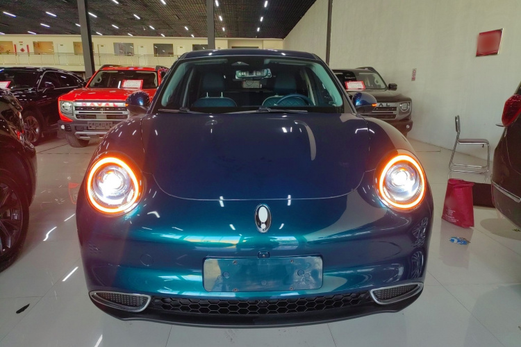 欧拉好猫 2022款 莫兰迪版 400km标准续航 豪华型 磷酸铁锂车身外观2