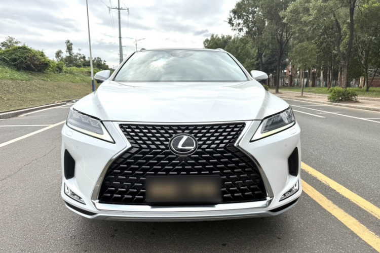 雷克萨斯RX 2020款 300 四驱典雅版 国VI车身外观6004