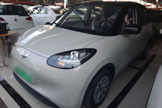 五菱汽车 五菱缤果 2023款 203km 轻享款