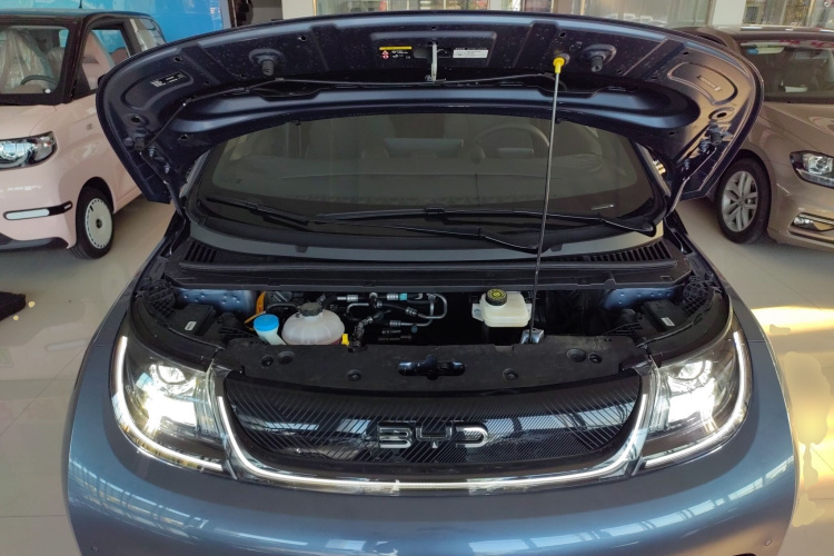 比亚迪 海豚 2025款 420km 时尚版机舱底盘24