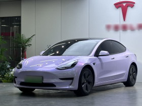 特斯拉 Model 3 2021款 标准续航后驱升级版