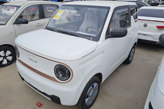 吉利银河 2024款 熊猫mini 200km 耐力熊