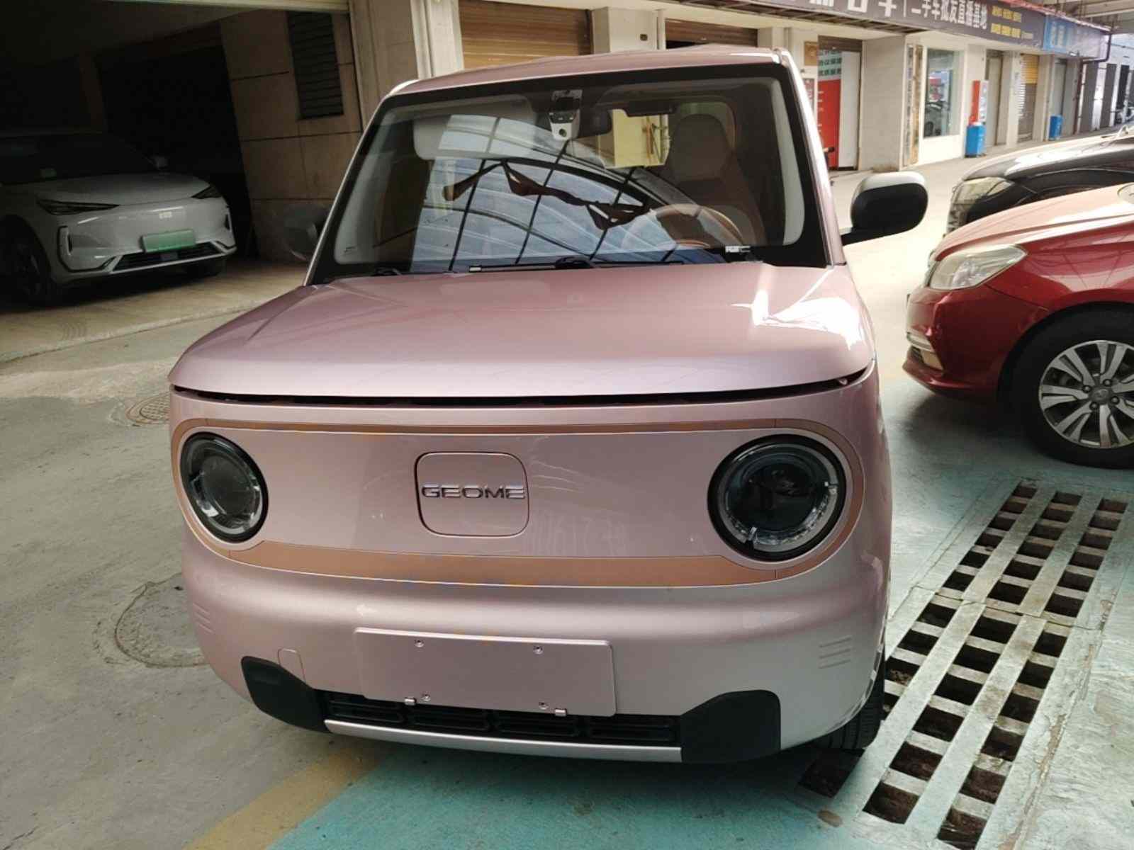 吉利银河 2023款 熊猫mini 200km 耐力熊(1)