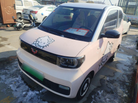 五菱汽车 宏光MINIEV 2021款 马卡龙时尚款 磷酸铁锂