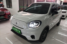 零跑汽车 零跑T03 2023款 310轻享版