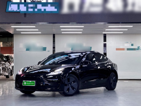 特斯拉 Model 3 2022款 后轮驱动版