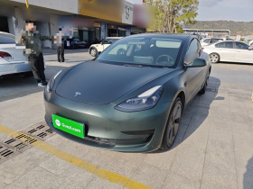 特斯拉 Model 3 2021款 改款 标准续航后驱升级版 3D1
