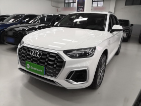 奥迪Q5L 2021款 45 TFSI 豪华动感型