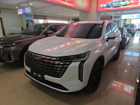 哈弗H6 2024款 1.5T 两驱Max