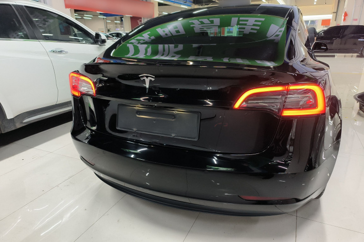 特斯拉 Model 3 2021款 标准续航后驱升级版车身外观6004
