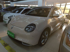 欧拉好猫 2021款 400km标准续航 雅典娜版 三元锂