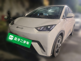 比亚迪 海鸥 2023款 自由版