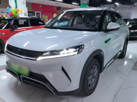 比亚迪 元UP 2024款  401KM 活力版