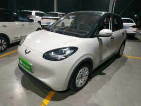 五菱汽车 五菱缤果 2023款 333km 快享款