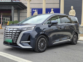 腾势D9 2024款 DM-i 980 四驱旗舰型